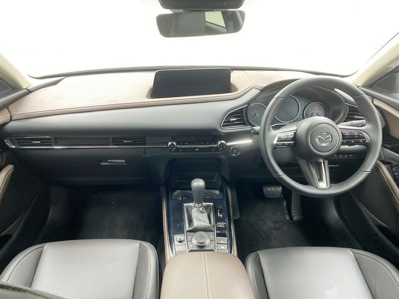 Mazda CX-30 2.5 E-skyactiv G Mhev 140 Takumi Silver #4