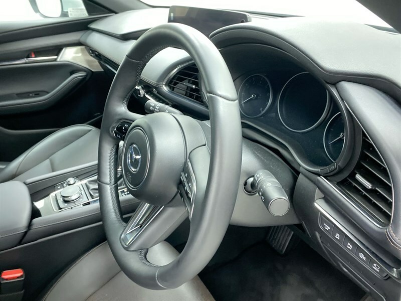 Mazda 3 2.5 E-skyactiv-g Mhev Exclusive-line Euro 6 Grey #41