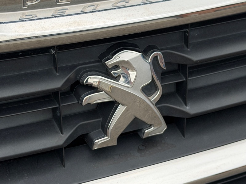 Peugeot Partner Tepee Silver #40