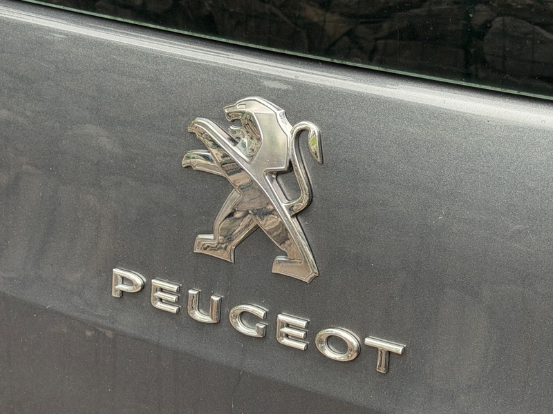 Peugeot Partner Tepee Silver #41