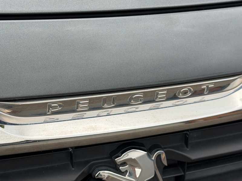 Peugeot Partner Tepee Silver #39