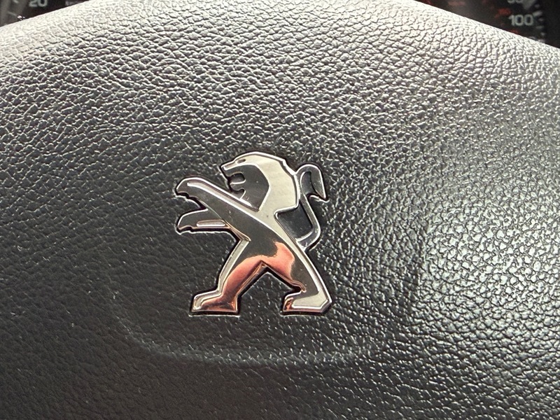 Peugeot Partner Tepee Silver #43