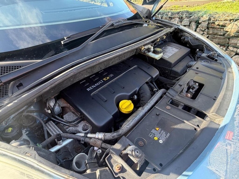 Renault Grand Scenic Dynamique Brown #24