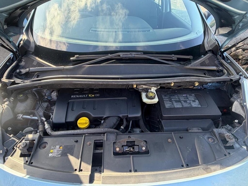 Renault Grand Scenic Dynamique Brown #23