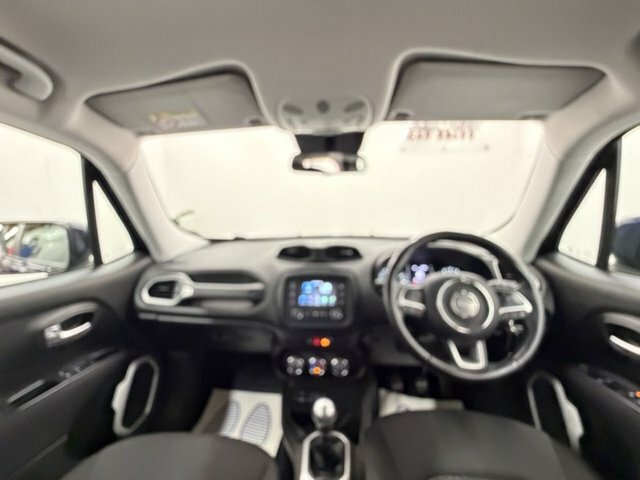 Jeep Renegade Limited Grey #12