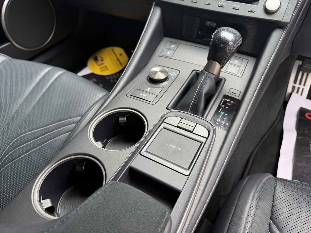 Lexus RC 300H 2.5 Luxury Cvt Silver #17