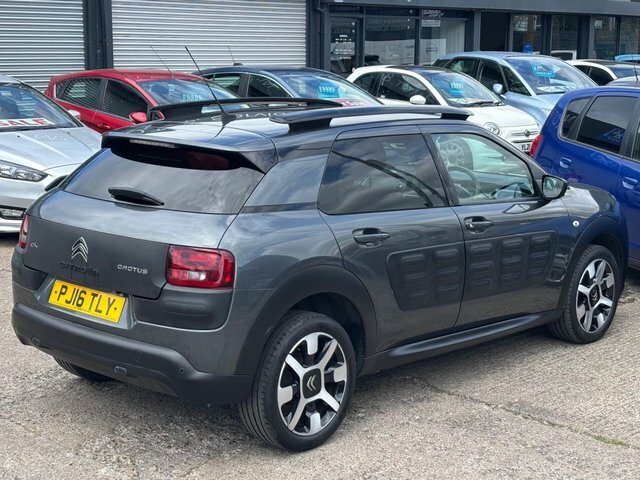 Citroen C4 Cactus  Purple #13