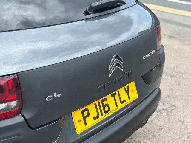 Citroen C4 Cactus  Purple #10