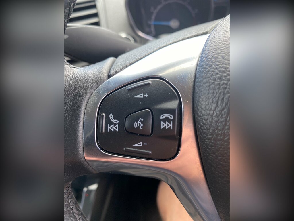 Ford Ecosport Titanium White #21