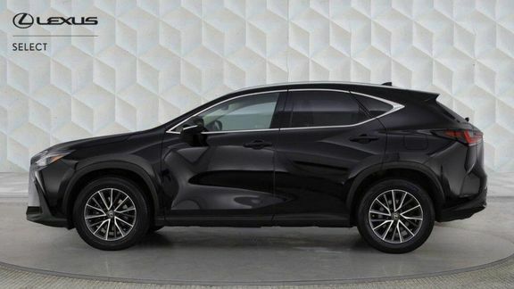 Lexus NX Nx Premium Pack Black #3