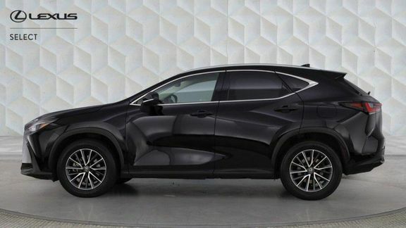 Lexus NX Nx Premium Pack Black #3