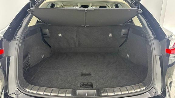 Lexus NX Nx Premium Pack Black #6