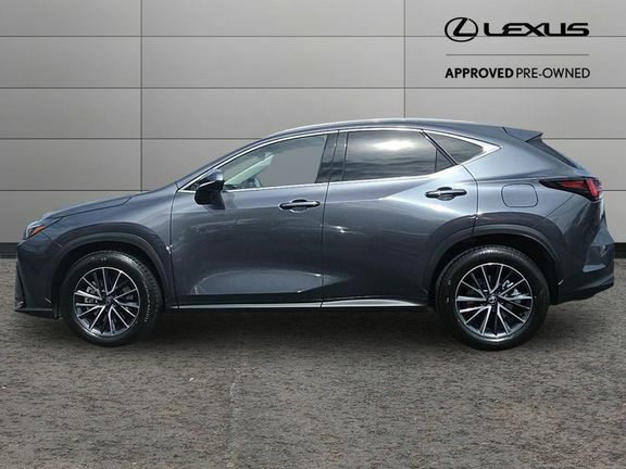 Lexus NX Nx450h Premium Grey #6