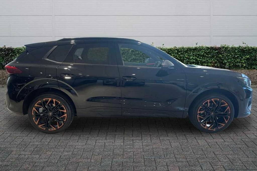 Cupra Terramar 2.0 Tsi 265 Vz2 Dsg 4Drive Black #4