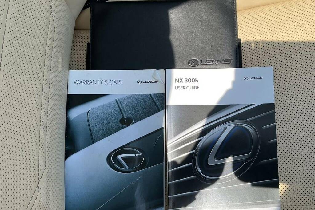Lexus NX 300H 2.5 Cvt 8 Nav Silver #27