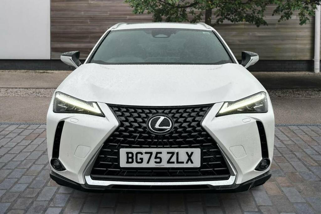 Lexus UX 300H 2.0 Premium Plus Cvt Hatchback #7