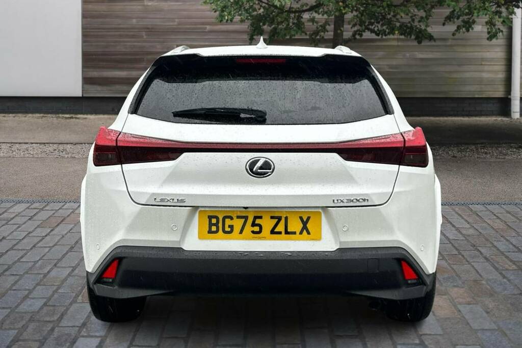 Lexus UX 300H 2.0 Premium Plus Cvt Hatchback #10