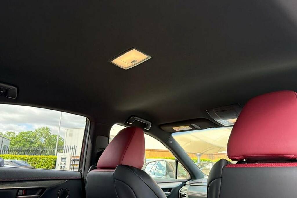 Lexus NX 300H 2.5 Premier Cvt Red #19