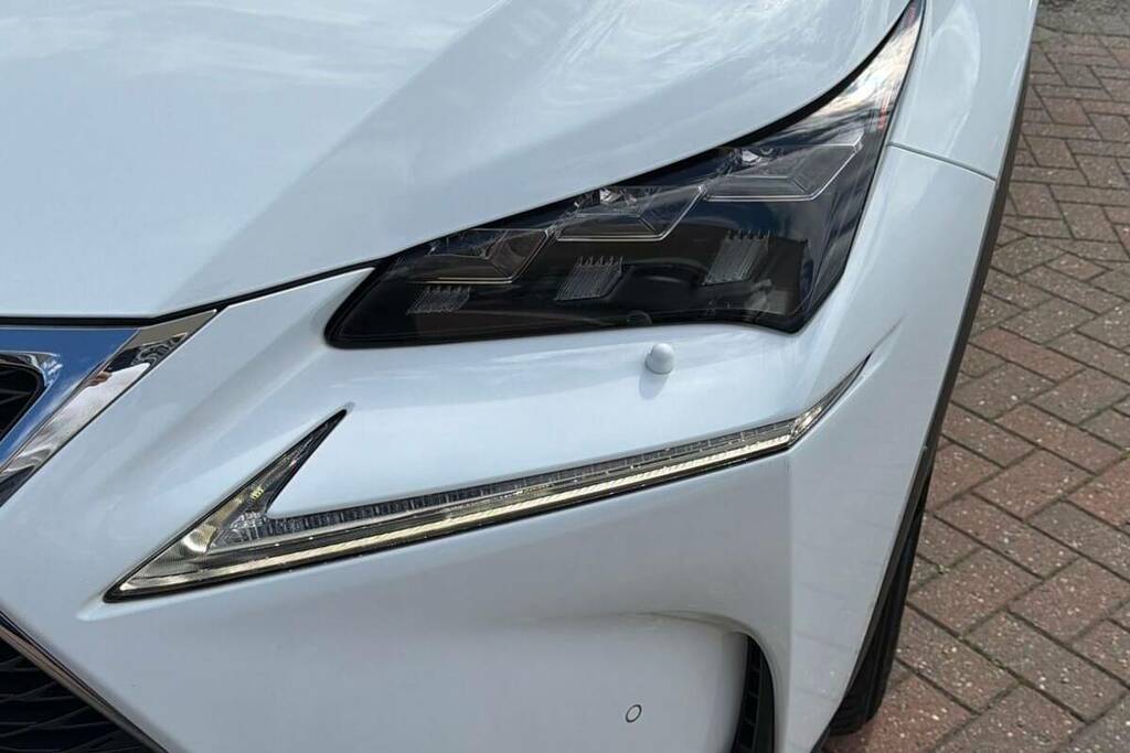 Lexus NX 300H 2.5 Premier Cvt Red #20