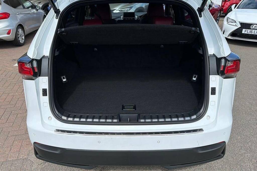 Lexus NX 300H 2.5 Premier Cvt Red #13