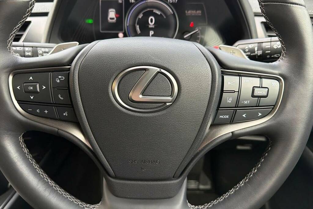 Lexus UX 250H Takumi Silver #10
