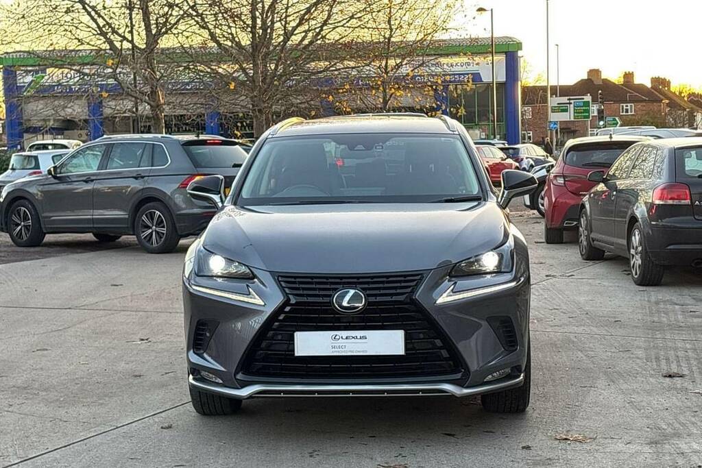 Lexus NX 300H 2.5 Cvt 8 Nav 2021 Silver #11