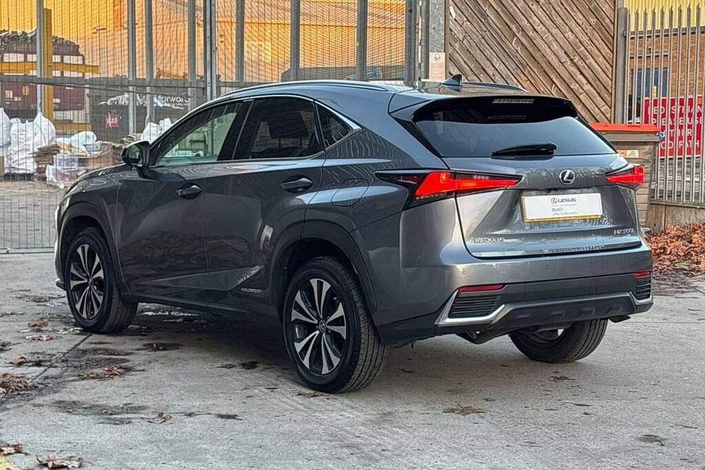 Lexus NX 300H 2.5 Cvt 8 Nav 2021 Silver #10