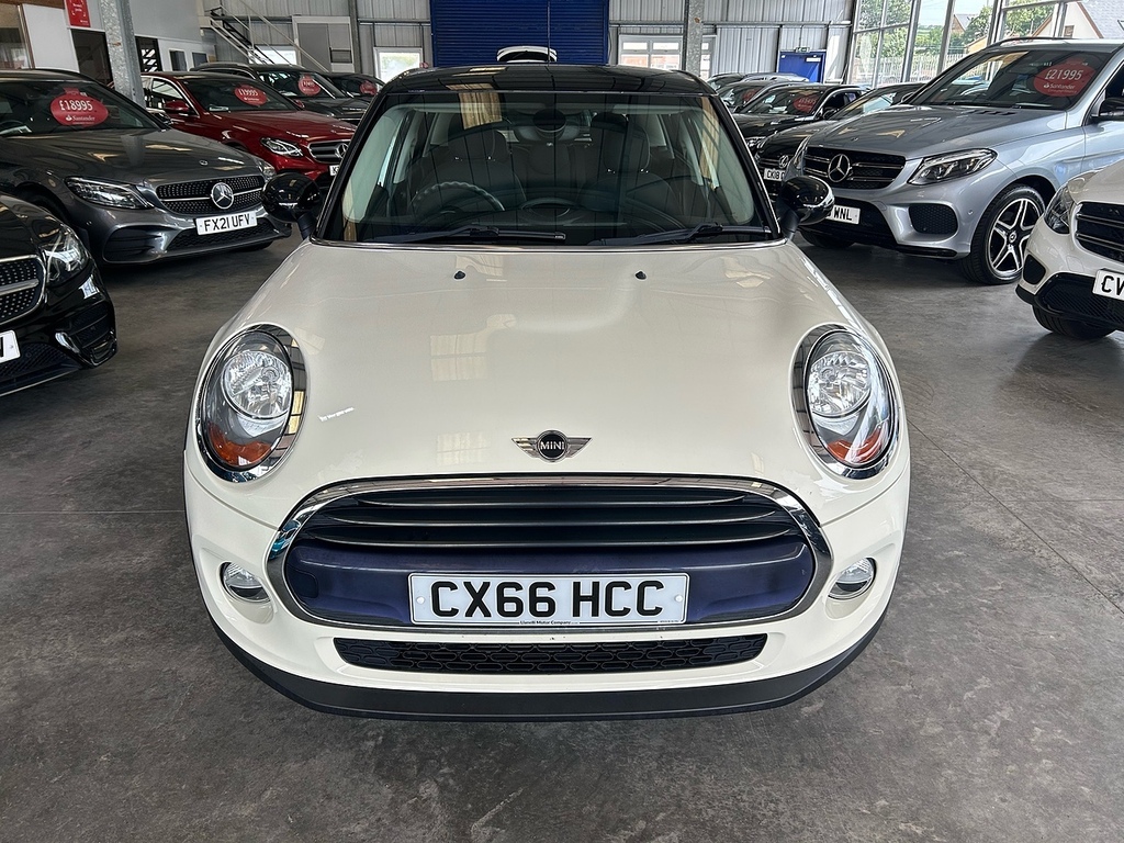 Mini Hatch Cooper CX66HCC Brown #3