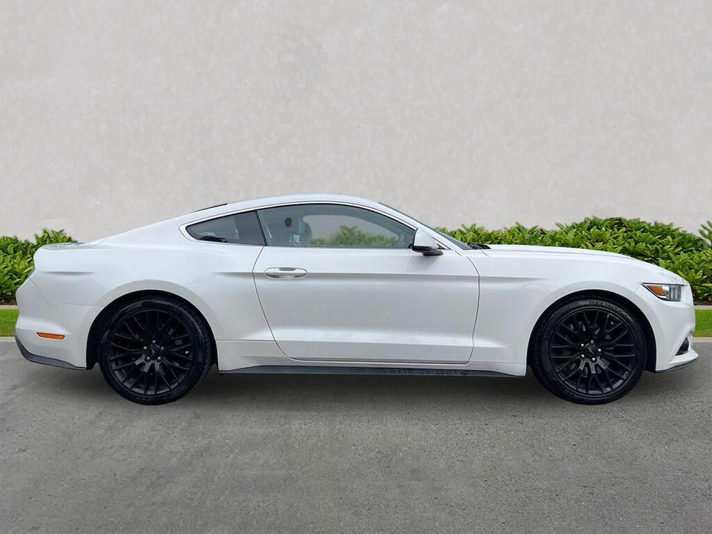 Ford Mustang Ford Mustang Ecoboost White #3