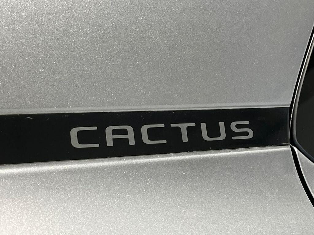 Citroen C4 Cactus Puretech Flair Ss Grey #35
