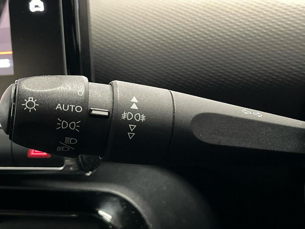 Citroen C4 Cactus Puretech Flair Ss Grey #29