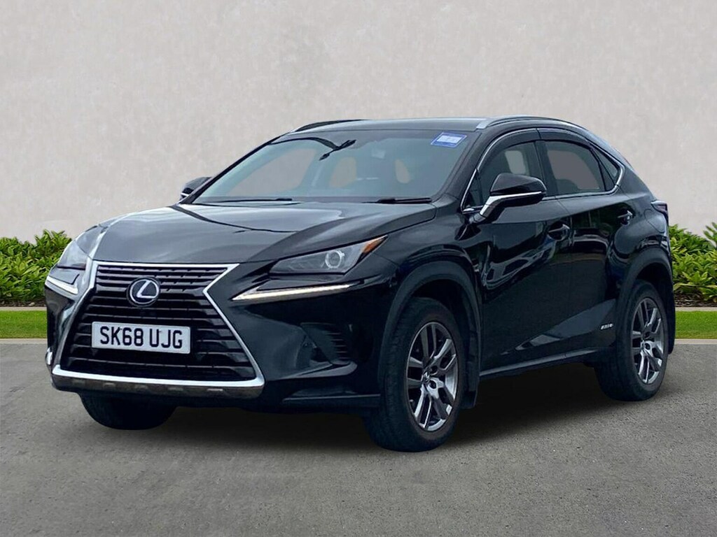Lexus NX 300H 2.5 Luxury Cvt Premium Nav Grey #20