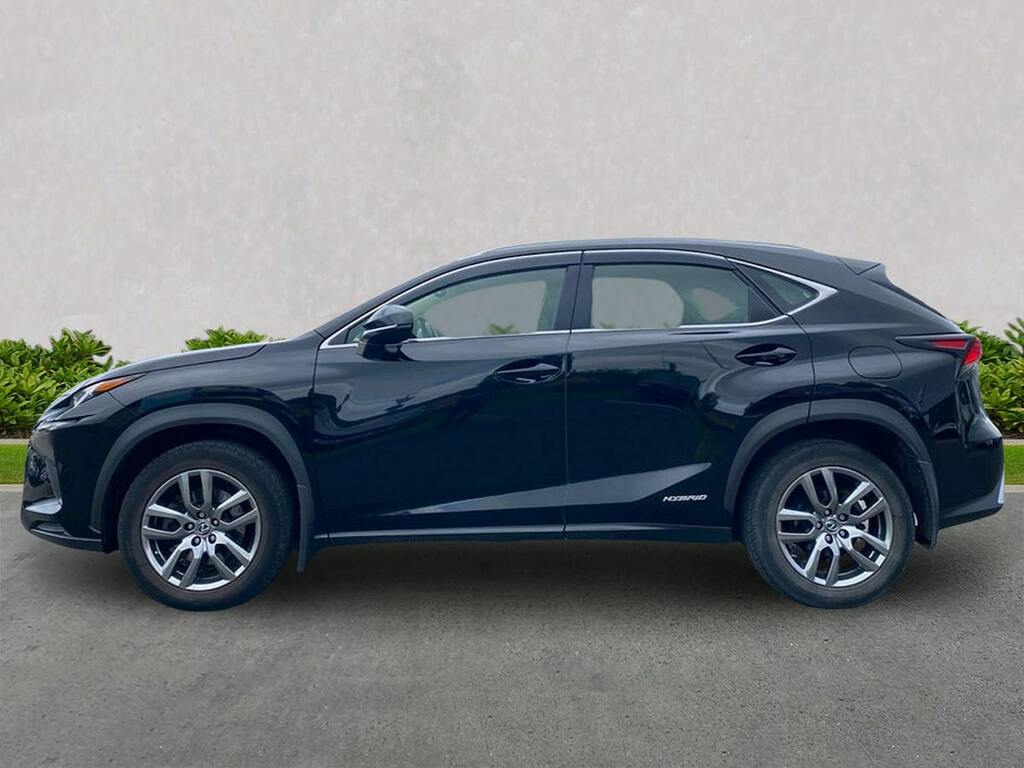 Lexus NX 300H 2.5 Luxury Cvt Premium Nav Grey #19