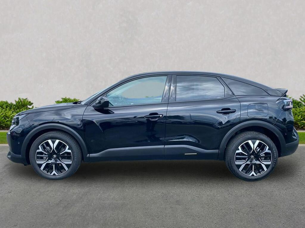 Citroen C4 1.2 Puretech You Euro 6 Ss #19