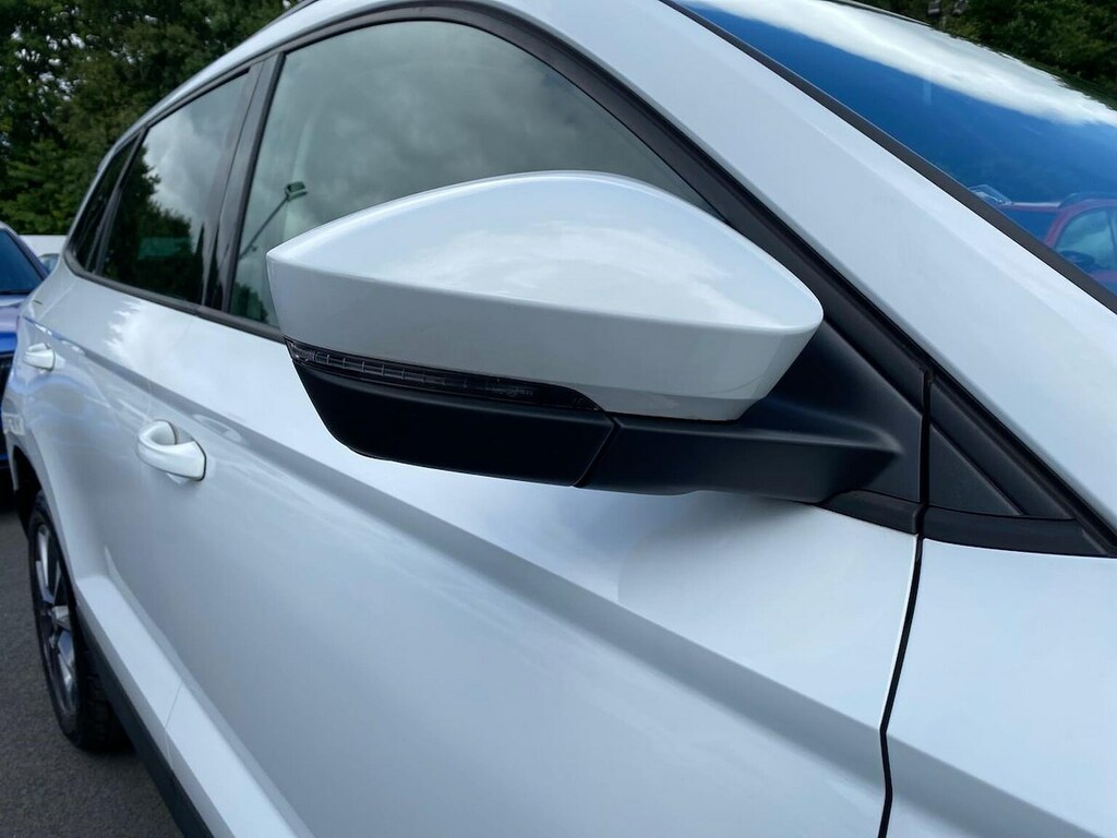 Skoda Karoq Se Tsi Blue #38