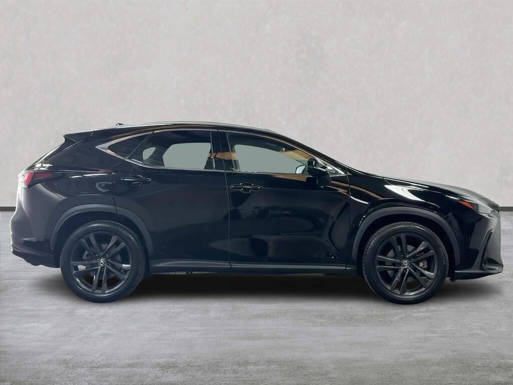 Lexus NX 2.5 450H 18.1Kwh Premium Plus Suv Plug Black #3