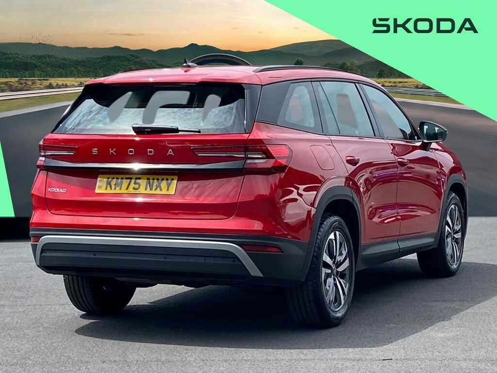Skoda Kodiaq Se Grey #17