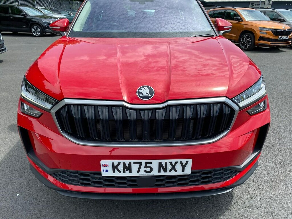 Skoda Kodiaq Se Grey #32
