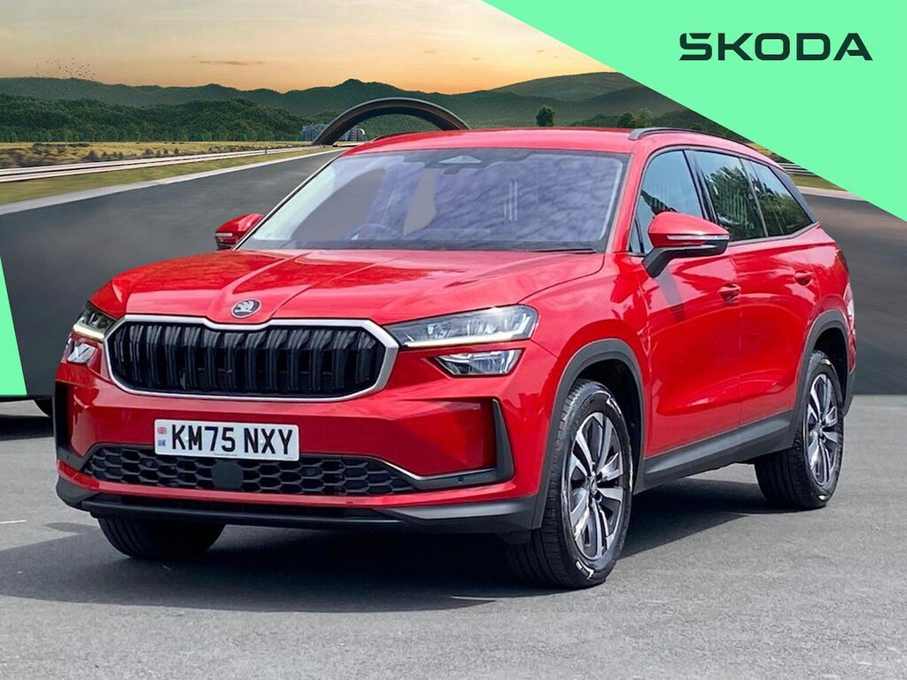 Skoda Kodiaq Se Grey #19