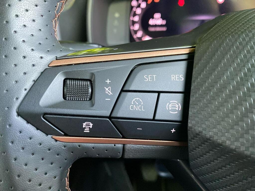 Cupra Formentor 2.0 Tsi Vz3 Dsg 4Drive Grey #27