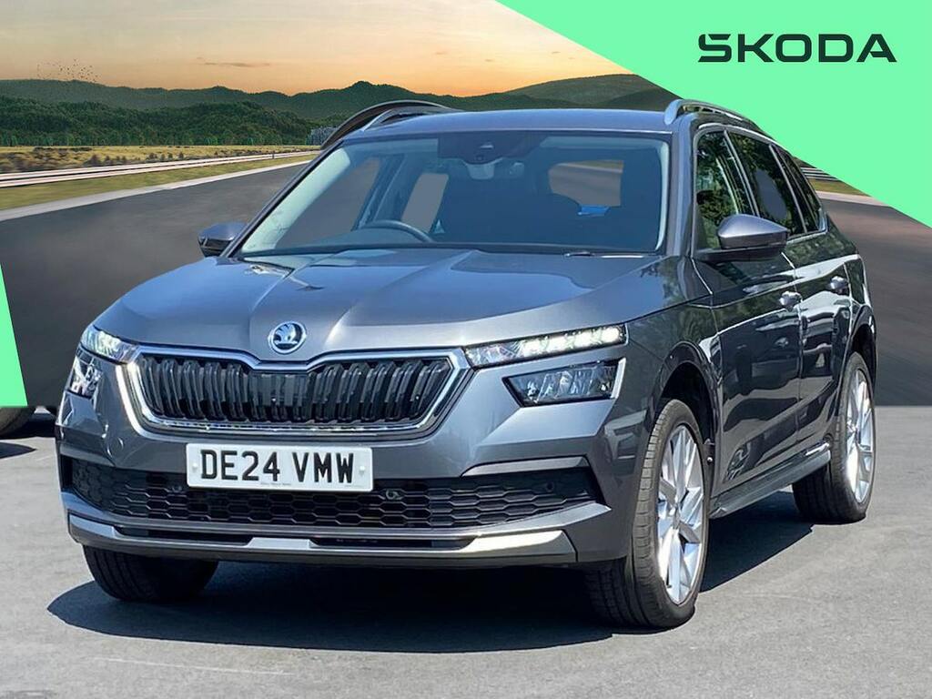 Skoda Kamiq Se Grey #20