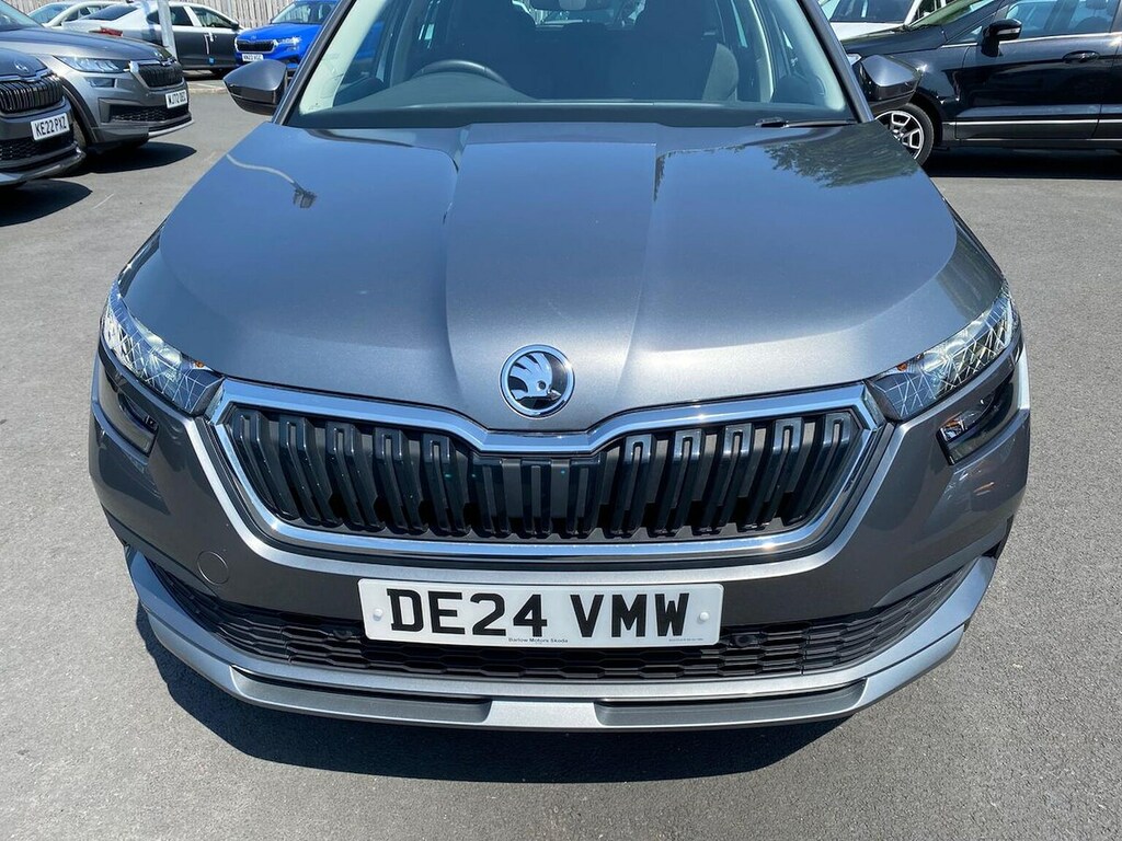 Skoda Kamiq Se Grey #33