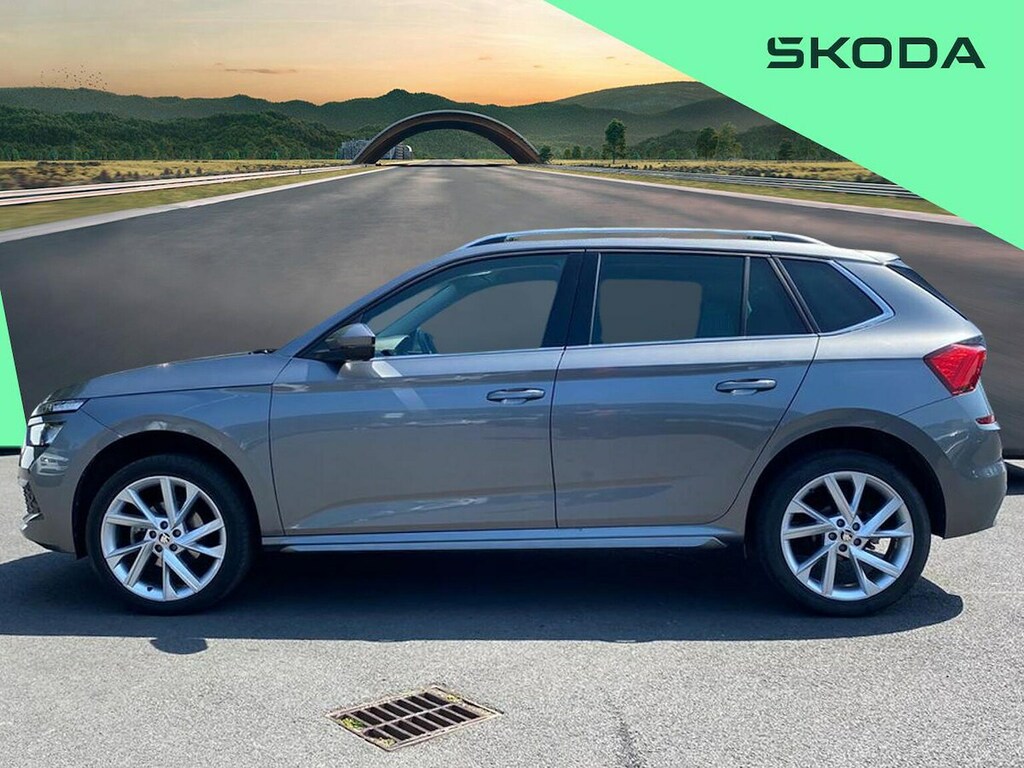 Skoda Kamiq Se Grey #19