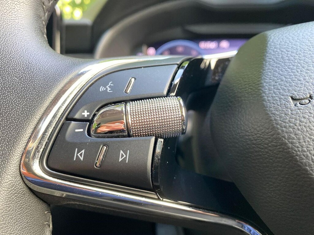 Skoda Kamiq Se Grey #27