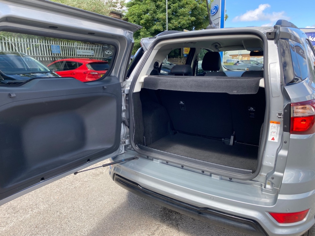 Ford Ecosport 1L Active Silver #22