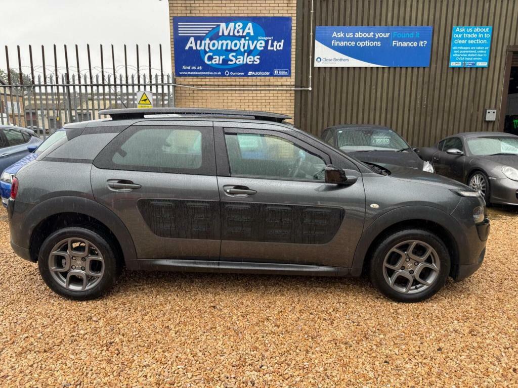 Citroen C4 Cactus Bluehdi Flair Silver #16