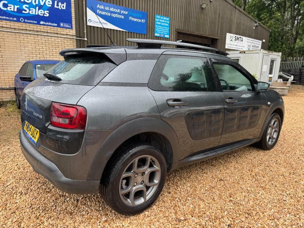 Citroen C4 Cactus Bluehdi Flair Silver #18