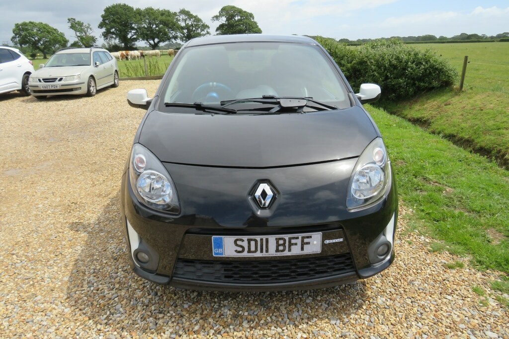 Renault Twingo 1.2 16V Expression Euro 5 Silver #35