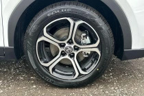 MG ZS Trophy #43