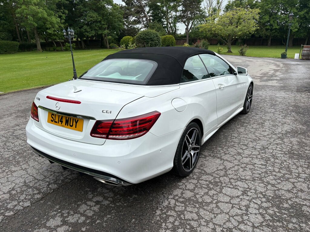 Mercedes-Benz E Class E220 Bluetec Line Grey #10